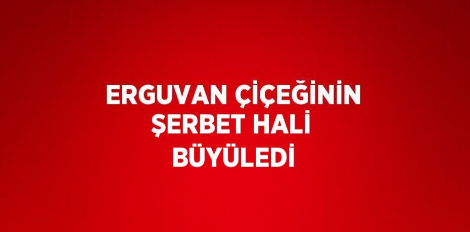 ERGUVAN ÇİÇEĞİNİN ŞERBET HALİ BÜYÜLEDİ