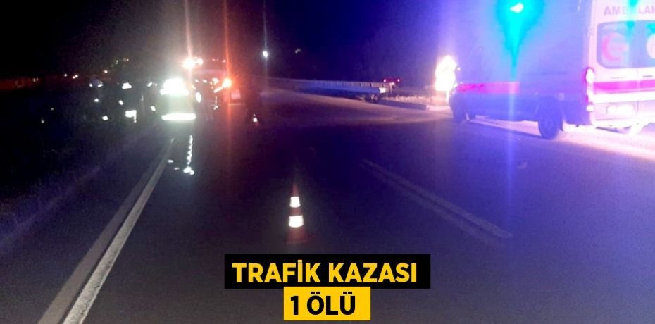 Trafik kazası 1 ölü