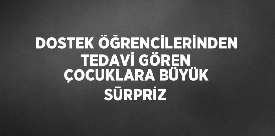 DOSTEK ÖĞRENCİLERİNDEN TEDAVİ GÖREN ÇOCUKLARA BÜYÜK SÜRPRİZ