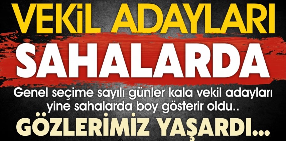 VEKİL ADAYLARI SAHALARDA...