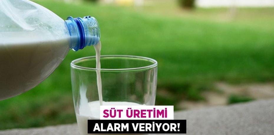 SÜT ÜRETİMİ  ALARM VERİYOR!