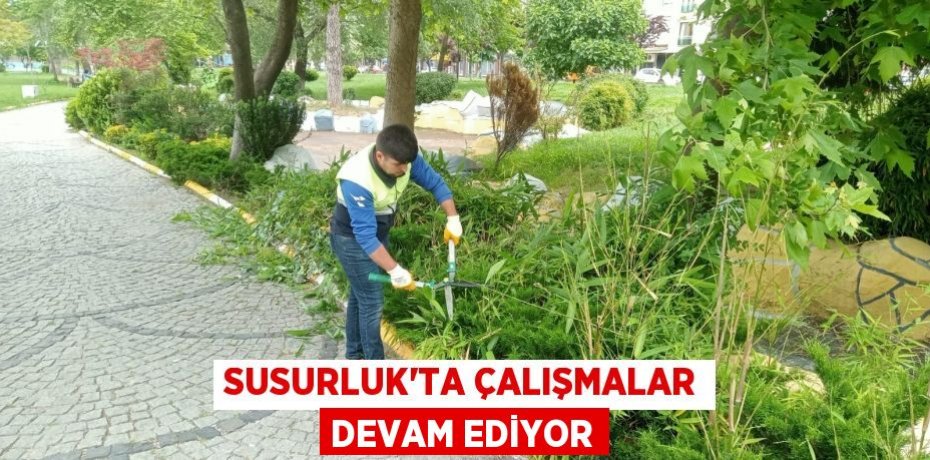 Susurluk'ta çalışmalar devam ediyor