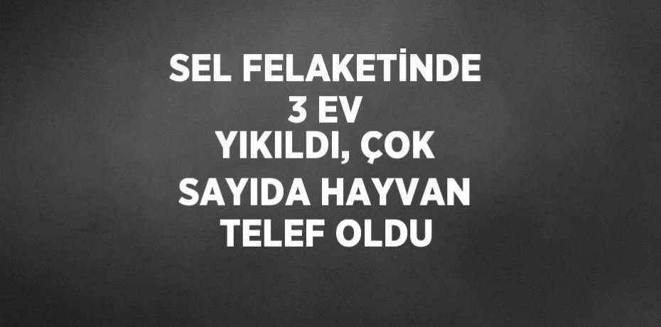 SEL FELAKETİNDE 3 EV YIKILDI, ÇOK SAYIDA HAYVAN TELEF OLDU