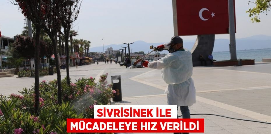 SİVRİSİNEK İLE MÜCADELEYE HIZ VERİLDİ