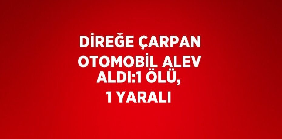 DİREĞE ÇARPAN OTOMOBİL ALEV ALDI:1 ÖLÜ, 1 YARALI