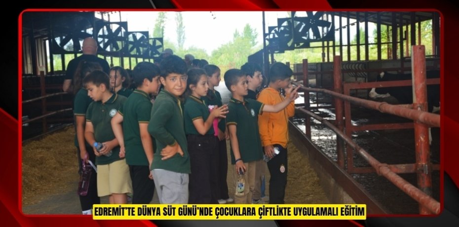 Edremit’te Dünya Süt Günü’nde çocuklara çiftlikte uygulamalı eğitim  