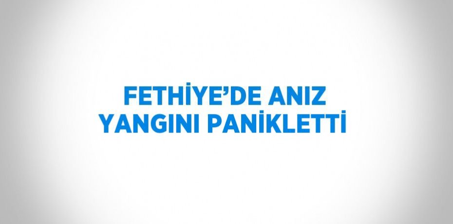 FETHİYE’DE ANIZ YANGINI PANİKLETTİ