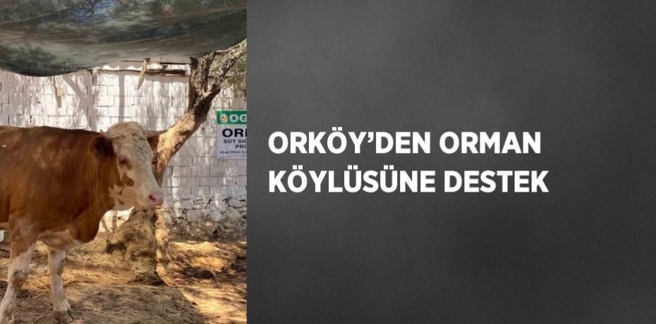 ORKÖY’DEN ORMAN KÖYLÜSÜNE DESTEK
