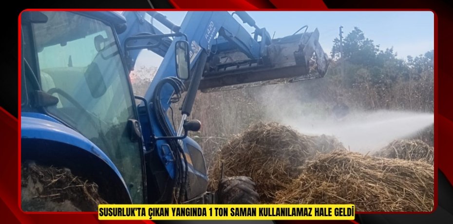 Susurluk'ta çıkan yangında 1 ton saman kullanılamaz hale geldi  