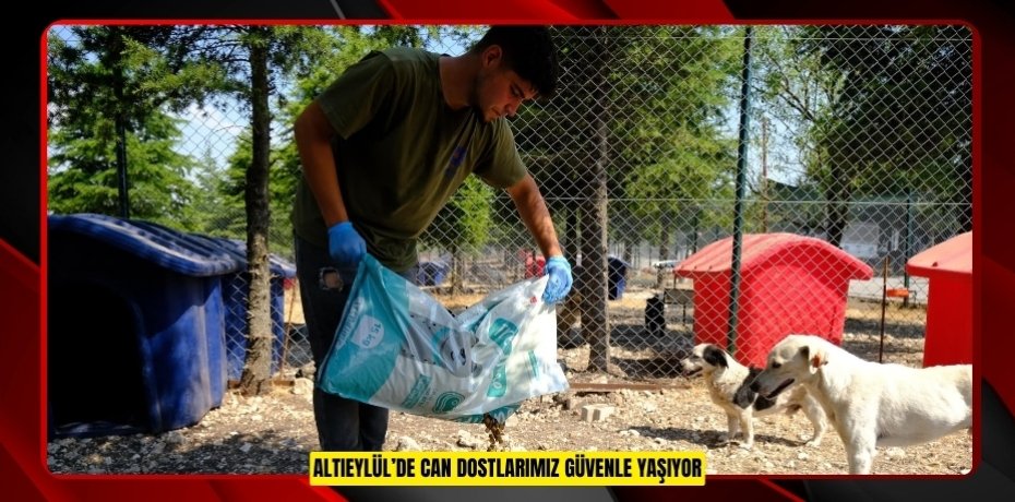 ALTIEYLÜL’DE CAN DOSTLARIMIZ GÜVENLE YAŞIYOR