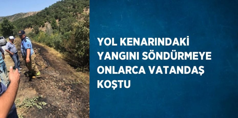 YOL KENARINDAKİ YANGINI SÖNDÜRMEYE ONLARCA VATANDAŞ KOŞTU