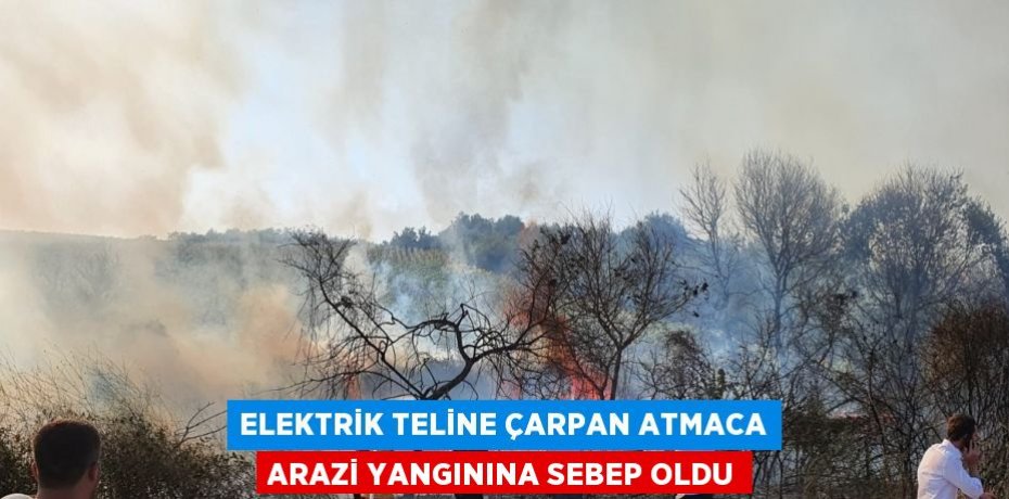 ELEKTRİK TELİNE ÇARPAN ATMACA ARAZİ YANGININA SEBEP OLDU