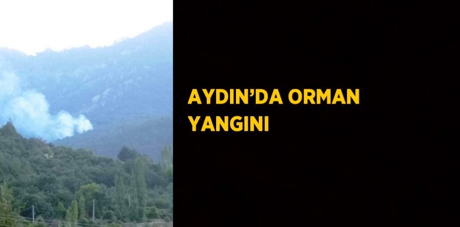 AYDIN’DA ORMAN YANGINI