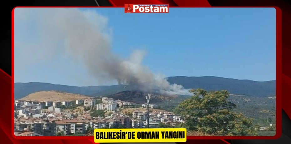 Balıkesir’de orman yangını 