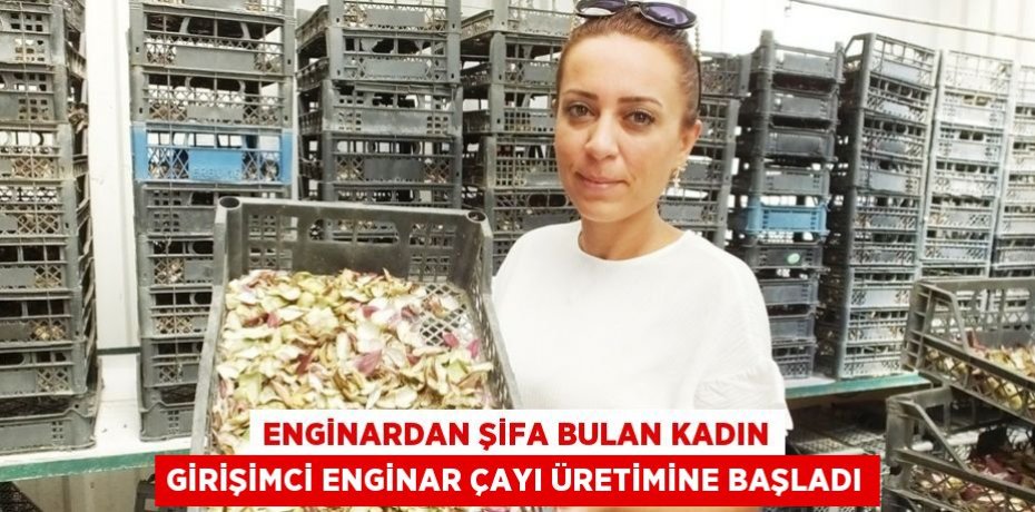ENGİNARDAN ŞİFA BULAN KADIN GİRİŞİMCİ ENGİNAR ÇAYI ÜRETİMİNE BAŞLADI