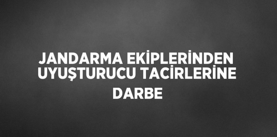 JANDARMA EKİPLERİNDEN UYUŞTURUCU TACİRLERİNE DARBE