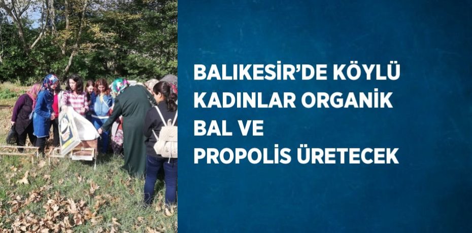 BALIKESİR’DE KÖYLÜ KADINLAR ORGANİK BAL VE PROPOLİS ÜRETECEK