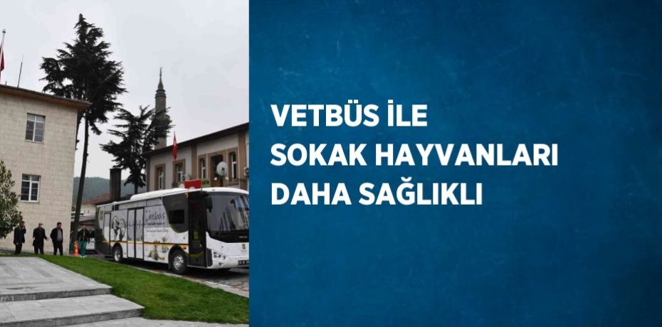 VETBÜS İLE SOKAK HAYVANLARI DAHA SAĞLIKLI