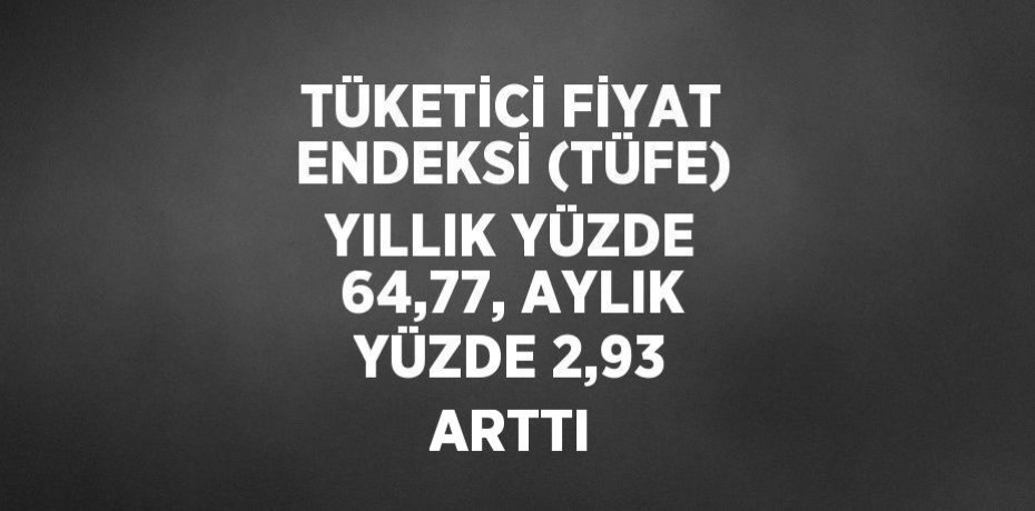TÜKETİCİ FİYAT ENDEKSİ (TÜFE) YILLIK YÜZDE 64,77, AYLIK YÜZDE 2,93 ARTTI