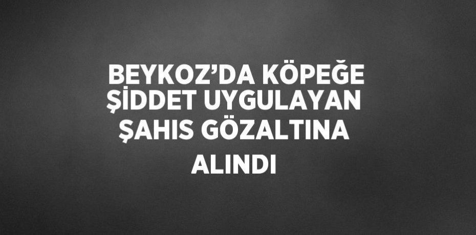 BEYKOZ’DA KÖPEĞE ŞİDDET UYGULAYAN ŞAHIS GÖZALTINA ALINDI