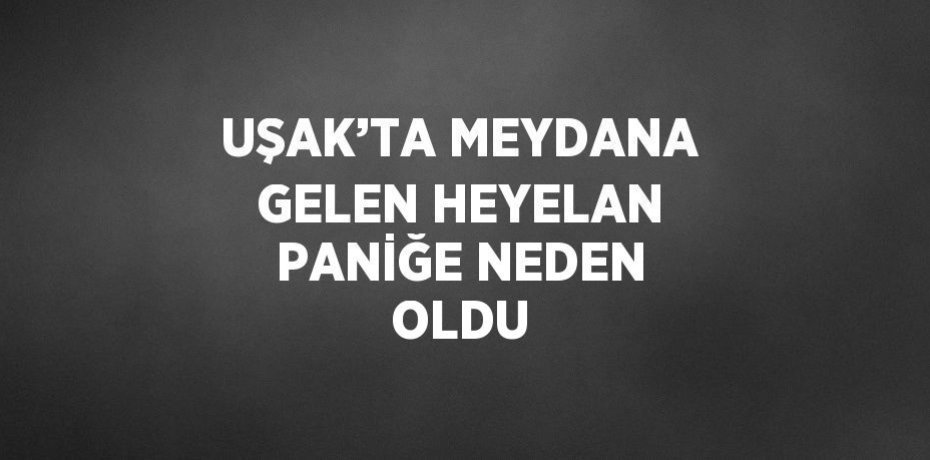 UŞAK’TA MEYDANA GELEN HEYELAN PANİĞE NEDEN OLDU