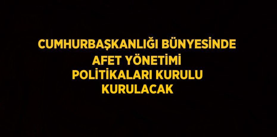 CUMHURBAŞKANLIĞI BÜNYESİNDE AFET YÖNETİMİ POLİTİKALARI KURULU KURULACAK