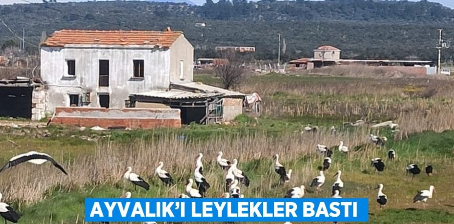 AYVALIK’I LEYLEKLER BASTI