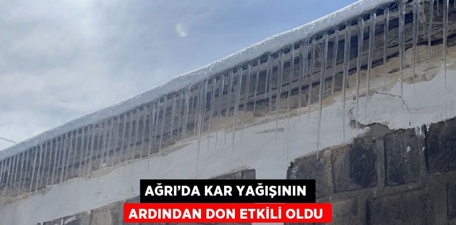 AĞRI’DA KAR YAĞIŞININ ARDINDAN DON ETKİLİ OLDU