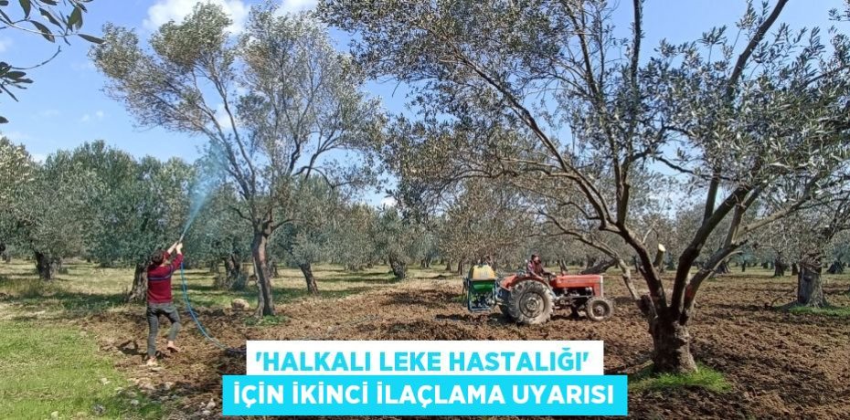 'Halkalı leke hastalığı' için ikinci ilaçlama uyarısı