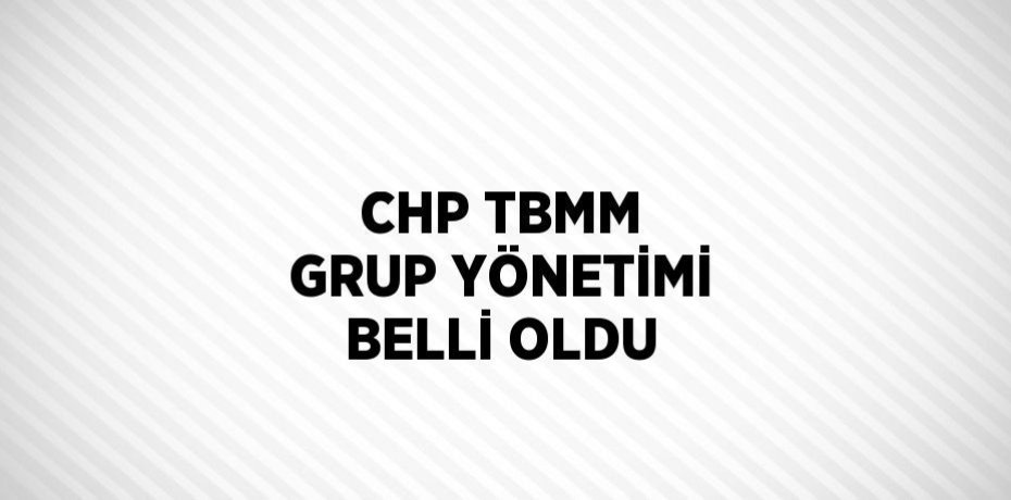 CHP TBMM GRUP YÖNETİMİ BELLİ OLDU