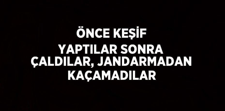 ÖNCE KEŞİF YAPTILAR SONRA ÇALDILAR, JANDARMADAN KAÇAMADILAR
