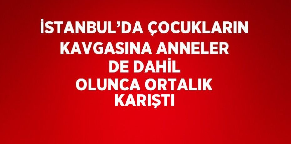 İSTANBUL’DA ÇOCUKLARIN KAVGASINA ANNELER DE DAHİL OLUNCA ORTALIK KARIŞTI