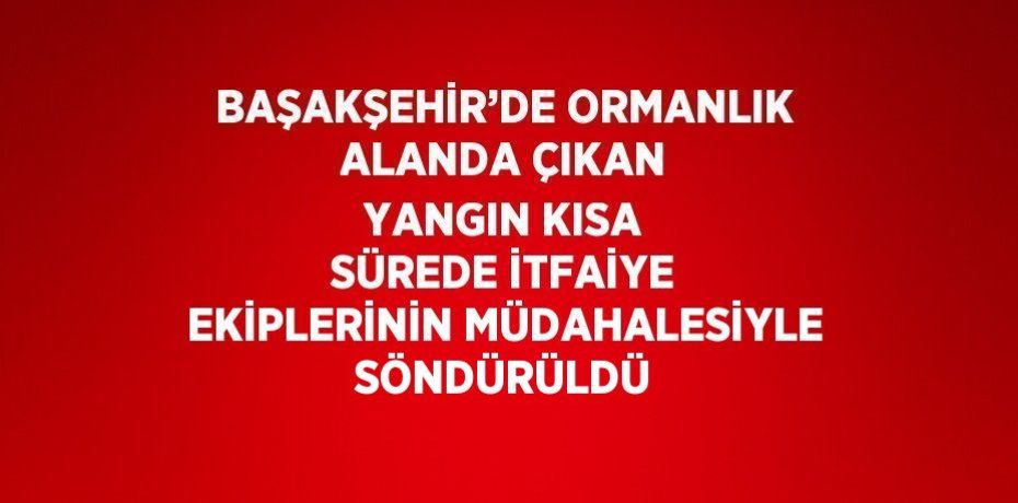 BAŞAKŞEHİR’DE ORMANLIK ALANDA ÇIKAN YANGIN KISA SÜREDE İTFAİYE EKİPLERİNİN MÜDAHALESİYLE SÖNDÜRÜLDÜ