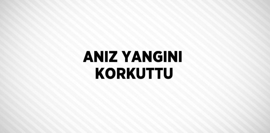 ANIZ YANGINI KORKUTTU