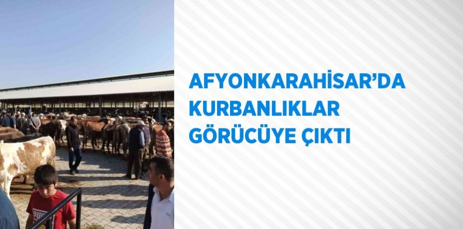 AFYONKARAHİSAR’DA KURBANLIKLAR GÖRÜCÜYE ÇIKTI