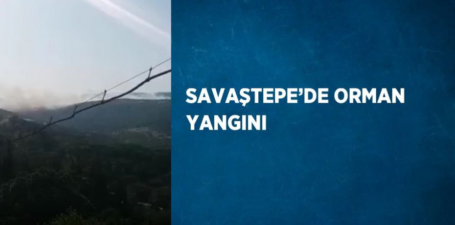 SAVAŞTEPE’DE ORMAN YANGINI