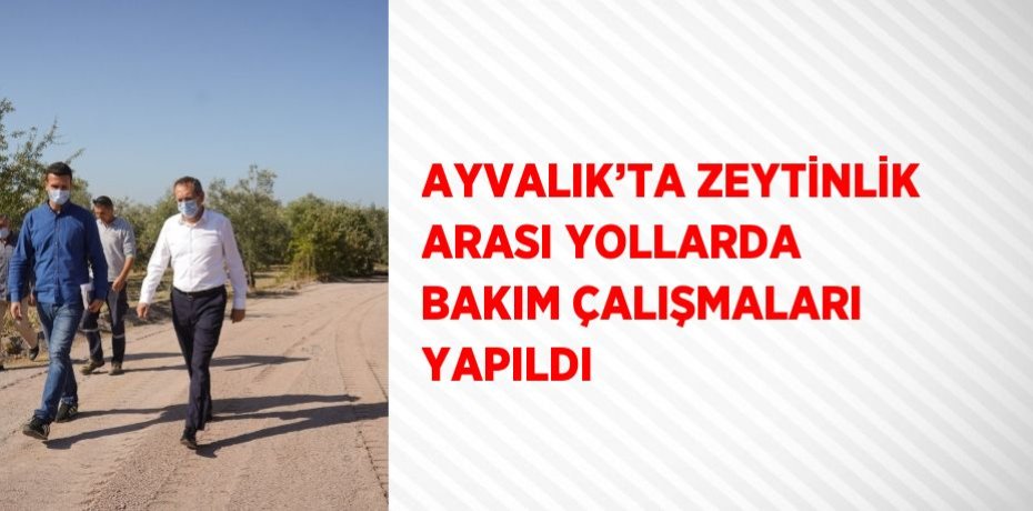 AYVALIK’TA ZEYTİNLİK ARASI YOLLARDA BAKIM ÇALIŞMALARI YAPILDI