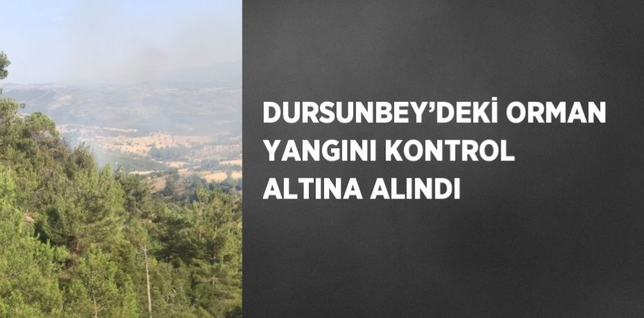 DURSUNBEY’DEKİ ORMAN YANGINI KONTROL ALTINA ALINDI
