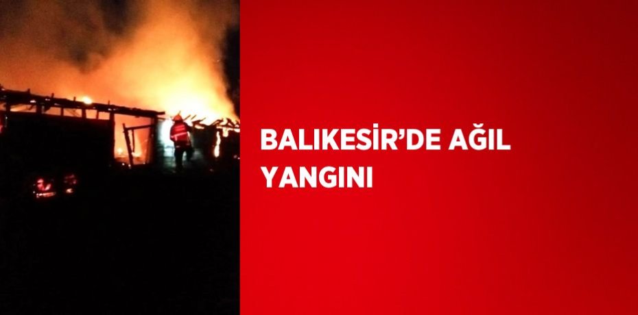 BALIKESİR’DE AĞIL YANGINI