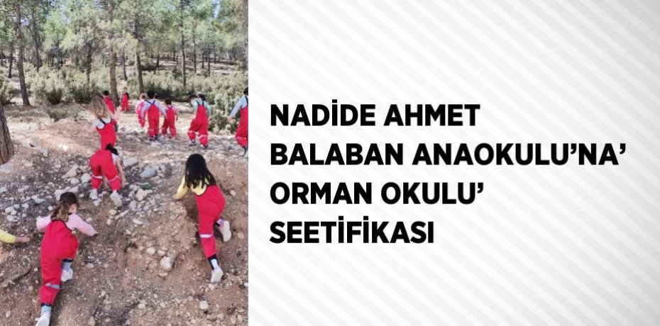NADİDE AHMET BALABAN ANAOKULU’NA’ ORMAN OKULU’ SEETİFİKASI
