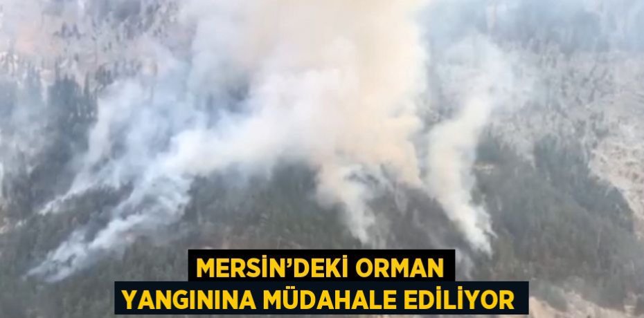 MERSİN’DEKİ ORMAN YANGININA MÜDAHALE EDİLİYOR