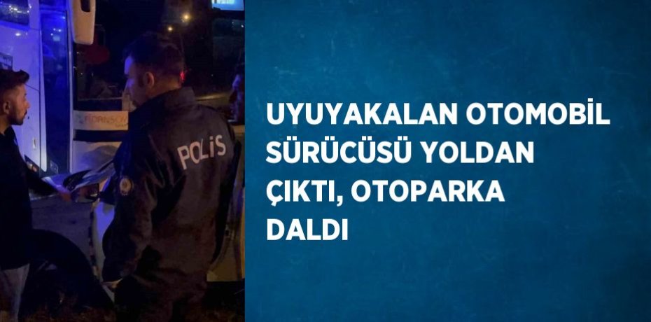 UYUYAKALAN OTOMOBİL SÜRÜCÜSÜ YOLDAN ÇIKTI, OTOPARKA DALDI