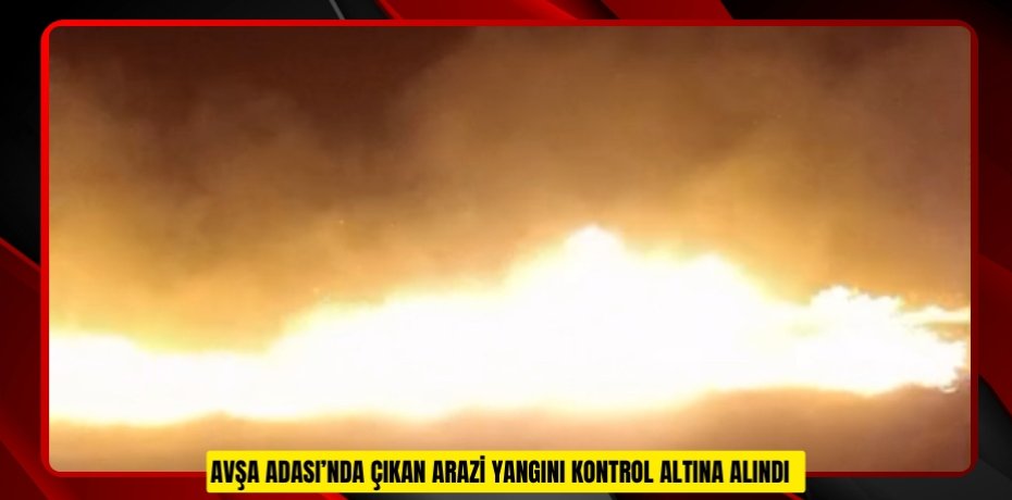 Avşa Adası’nda çıkan arazi yangını kontrol altına alındı  