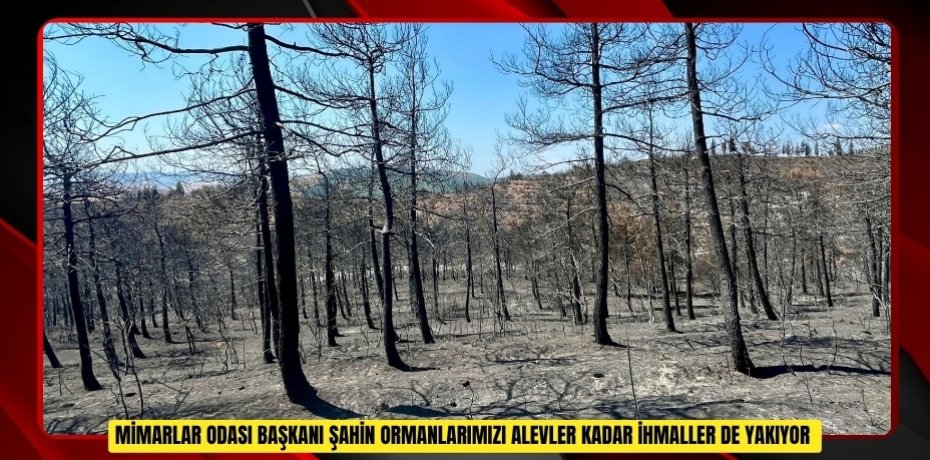 Mimarlar Odası Başkanı Şahin: "Ormanlarımızı alevler kadar ihmaller de yakıyor"  