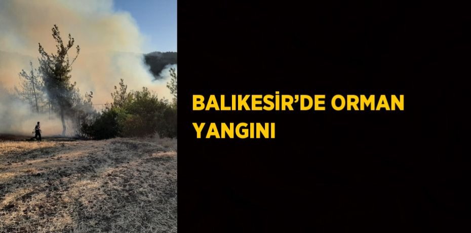 BALIKESİR’DE ORMAN YANGINI