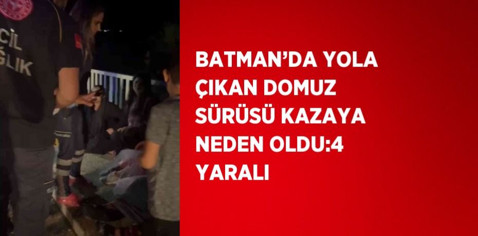 BATMAN’DA YOLA ÇIKAN DOMUZ SÜRÜSÜ KAZAYA NEDEN OLDU:4 YARALI