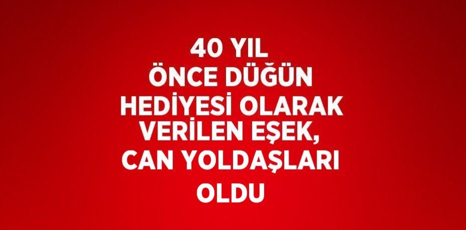 40 YIL ÖNCE DÜĞÜN HEDİYESİ OLARAK VERİLEN EŞEK, CAN YOLDAŞLARI OLDU