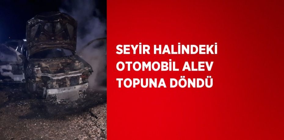 SEYİR HALİNDEKİ OTOMOBİL ALEV TOPUNA DÖNDÜ