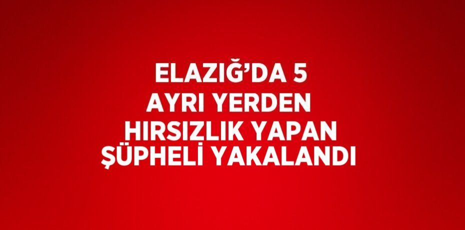 ELAZIĞ’DA 5 AYRI YERDEN HIRSIZLIK YAPAN ŞÜPHELİ YAKALANDI