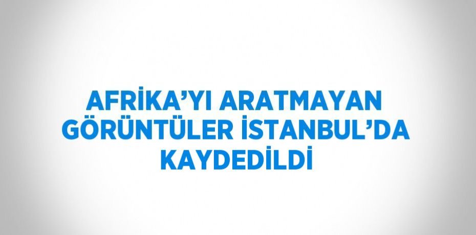 AFRİKA’YI ARATMAYAN GÖRÜNTÜLER İSTANBUL’DA KAYDEDİLDİ